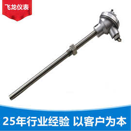 感温棒pt100 wzp-pt100温度传感器pt100铂热电阻测温探头装配式