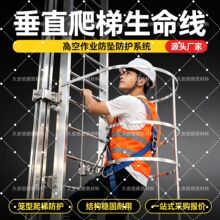 垂直爬梯生命线 风电铁塔钢结构高空直梯防坠落安全防护系统