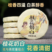 桂花老白茶小茶饼云南白牡丹白茶小饼桂花香桂花奶白散装小饼批发