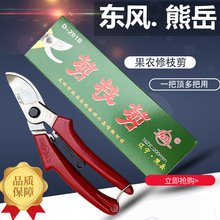 正品辽宁东风熊岳东风剪刀园林修枝粗枝花枝手剪盆景剪刀花枝果