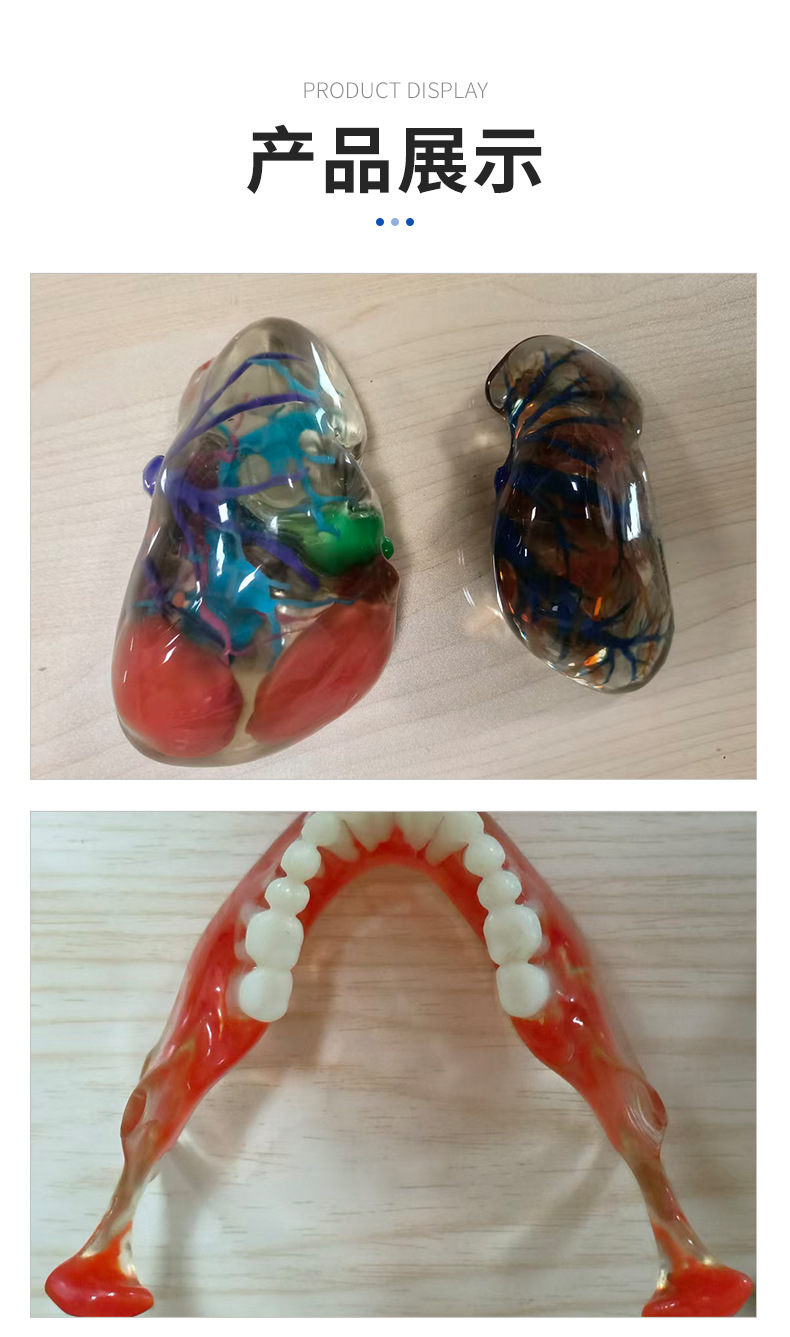 3D Printed Medical Prototype Model, 3D Printed Resin Prototype Model, Rapid Prototyping, Custom Processing from Provided Drawings