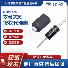 YJ���ԭ������ MURS160B��ָ������� SMBG��װ