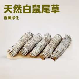 白鼠尾草香杖香熏线香塔香消磁鲍鱼壳羽毛香氛净化香薰空气清新