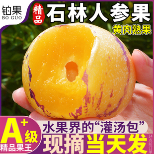 ���������ʯ���˅������rˮ��5���S��A�������Fժ������]