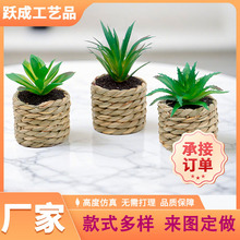 跨境爆款创意仿真多肉盆栽办公装饰用品摄影道具源头厂家多肉盆栽