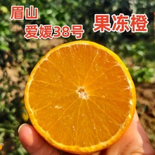 眉山爱媛38号果冻橙爱媛橙手剥橙甜橙现摘现发新鲜采摘爱媛果冻橙