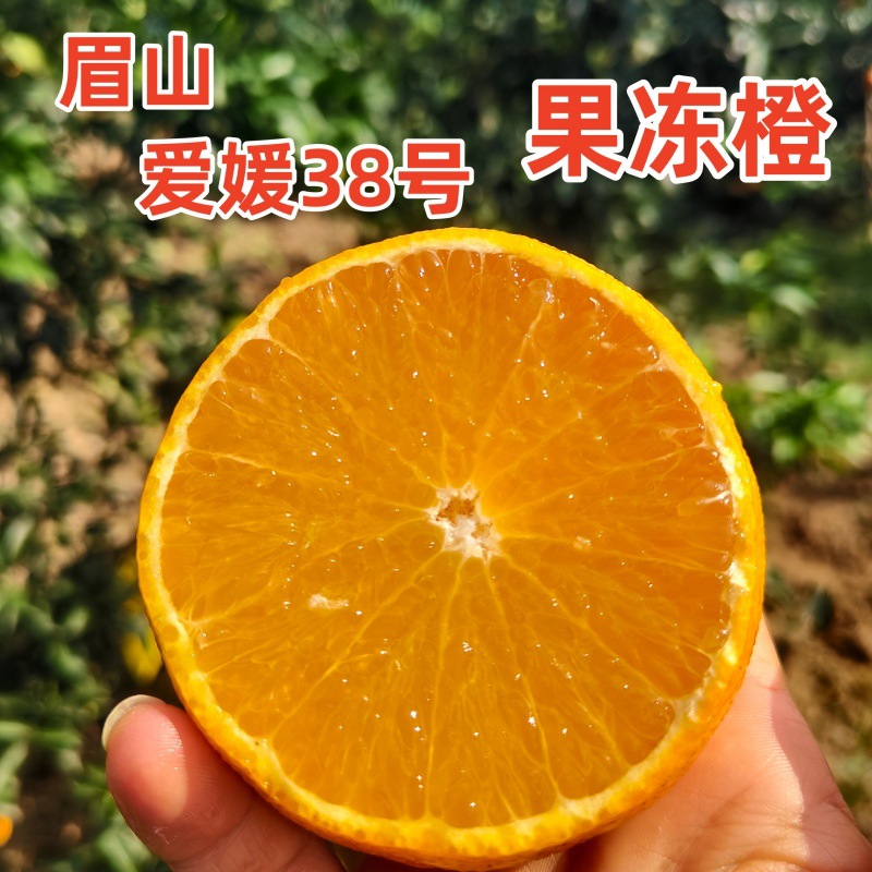 眉山爱媛38号果冻橙爱媛橙手剥橙甜橙现摘现发新鲜采摘爱媛果冻橙
