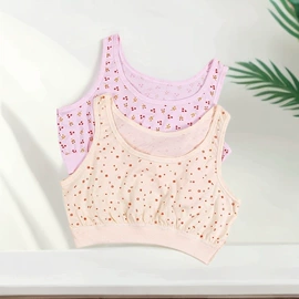 保暖裤;中老年文胸;内衣其他加工