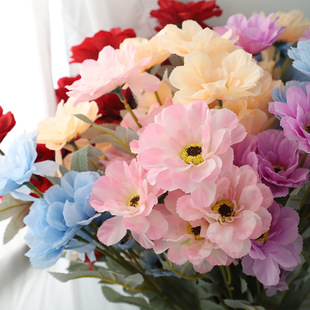 �S�����l����̫ꖻ���c��ˇ�����·���Ƶ��Y�Ҿ��b�ƿ������