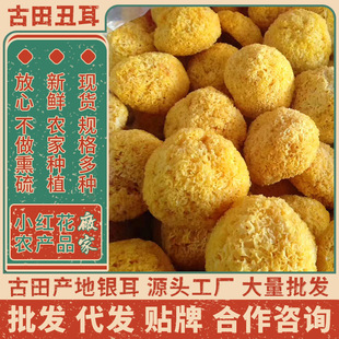 ʳ�þ���؛���������y��500g�y������ľ�����zܛŴ��������S��