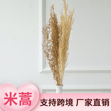 �������l����ɲݸɻ�diy���ϰ��������Ք[�������������ɻ����l