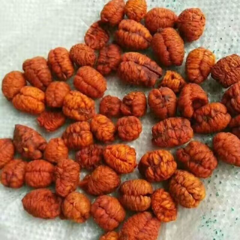 Long Lin Guo Dragon Scale Fruit Dried Longdan Guo Herbal Seeds 100g Bottle quality and texture