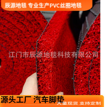 加密pvc丝圈地毯喷丝卷材汽车脚垫通用入户门口垫防滑垫玄关通道