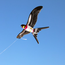 С�L�~΢�L���w�ֳ���~�̓�ͯ���ÄӑB����2025���¿�����С�B