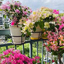 ذ÷ɫ~ӻڻͥԺٶɫǤС