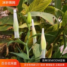 玫瑰花百合花保护网套防撞花店包装运输防损PE网兜批发编织