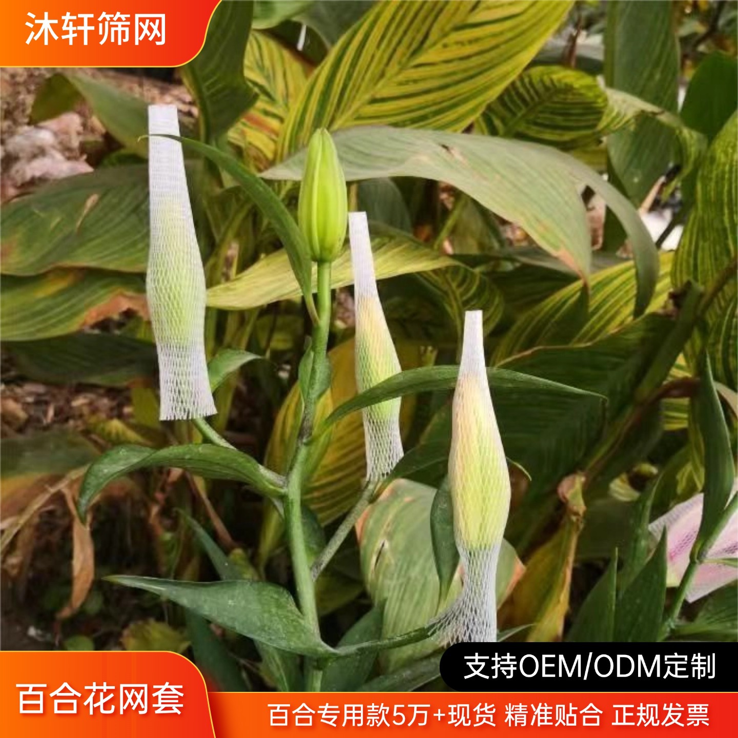 玫瑰花百合花保护网套防撞花店包装运输防损PE网兜批发玫瑰花网套