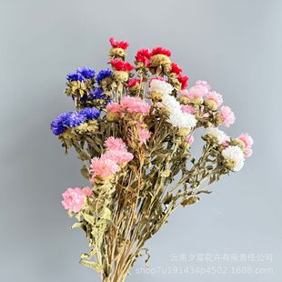�ֹ��ɻ��������߲ʾղ��}���ֹ�ƴճ�滨��������Rȫ�S�ҬF؛��