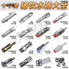 �i���ˮ�����P�ˮ���^���Ƥ�|�����ñСĸ�i�����iιˮ��ˮ��