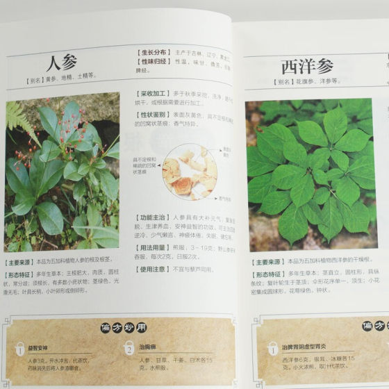 Encyclopedia of Chinese Medicine Books Encyclopedia of Chinese Medicine Health Care Conditioning Basic Theory of Chinese Medicine