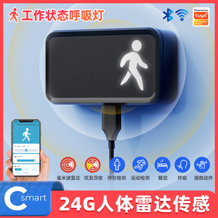 Wifi Human Body 24g Presence Sensor Tuya Smart Home Millimeter Radar Wave Induction Breathing Movement Detection