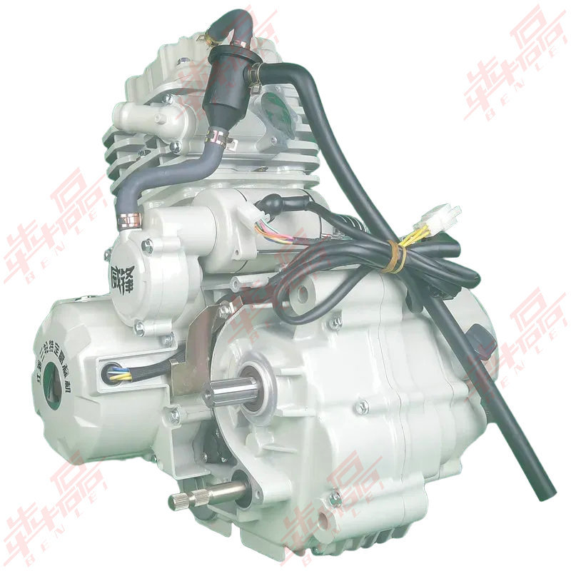 Jiangsu Zongshen Same Model Weifeng 200250300350 Dual Cooling Jiangsu Three-Wheel Motorcycle Heavy-Duty Engine Assembly