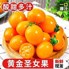 ��ժ��ɫС����ʥŮ��ӣ��С����������Ӧ������ǧ������һ������