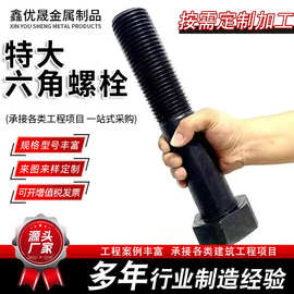 特大螺栓GB5783加长加大外内六角头螺丝细牙反牙现货镀锌大型螺栓