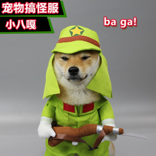 搞怪柴犬狗狗小八嘎变身装万圣节八嘎变身猫咪抖音宠物搞笑衣服-阿里巴巴