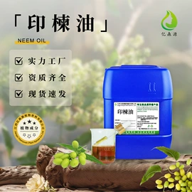 植物香料;合成香料;其他食品添加
