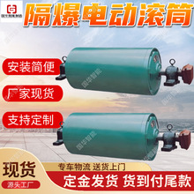 油冷式电动滚筒 国华智能现货现发 矿用防爆电动滚筒
