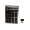 2.4g version gray