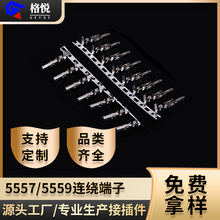 Ӿ 5557 4.2mmgB@ 5559ĸӲ׶