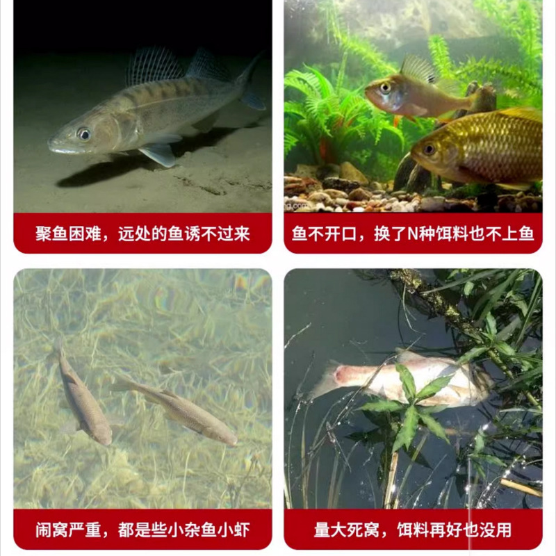 Cebo de pellets de aceite de oveja Shu, cebo de pesca, pesca salvaje, pesca en estanque de pozo negro, carpa cruciana, besugo, pesca de peces de agua dulce, atrayente de peces grandes