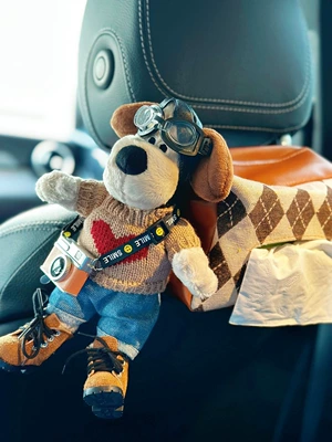 Car Seat Back Hanging Armrest – Car tissue box/set - love-clothes-yellow-machine-brown-edge-grid-carton-with-shoes