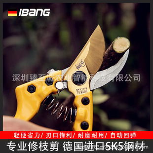 ̨���M�ڈ@ˇ���ܼ�����֦���������SK5���ü��ù��߈@�ֻ�֦��