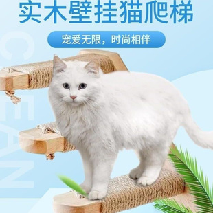 �¿�ڒ�ʽľ�|؈����؈���ݱڼܼ����҃�ľ�|����Ӳ���K��؈����