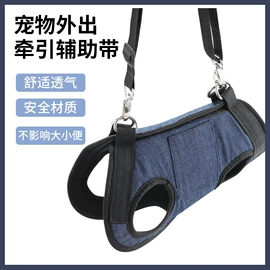 筋膜枪;榨汁机;卷发/直发器