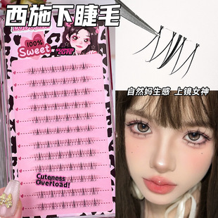 Large Capacity Xi Shi Lower Eyelash Cartoon Flare Simulation False Eyelash Lazy Man Segmented Single Cluster Natural Transparent Eyelash
