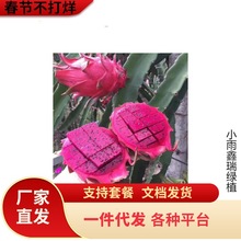 �t�Ļ�������������Ե���ͥԺ�̨�ϱ����ļ��Nֲ�����箔��Y��