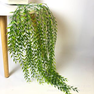 ��������֦���l�ٴ������ϾGֲ���~ֲ���ٗl�ٻ��ڒ����bڒ�