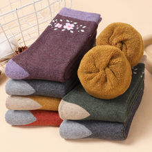 ůqLmͲmmmỨӺ͹ëȦmﶬë