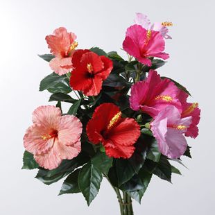 �������Ȼ�ľ�Ȼ���c���T·���b��҃Ȳ廨��ˇܛ�b�OӋ�쾰�ٻ�