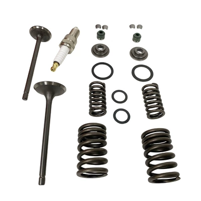 Valve Spring Gasket, Valves and components