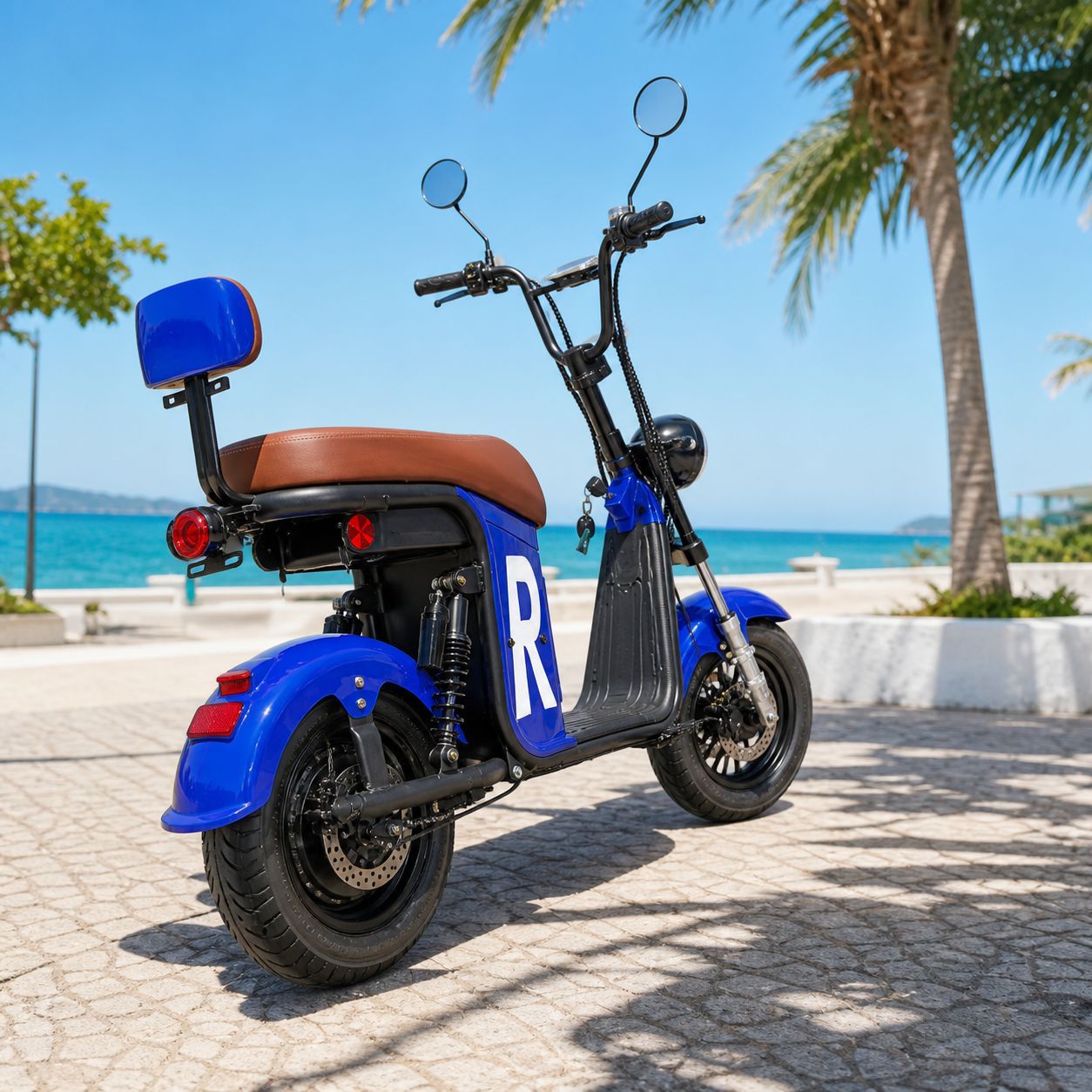 Brazil Harley Citycoco large wheel wide tire electric vehicle adult electric bicycle electric motorcycle battery vehicle manufacturer