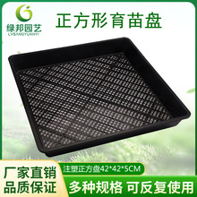 芽菜盘育苗盆育苗盘育水稻育秧盘苗芽菜塑料托盘种植器 正方形