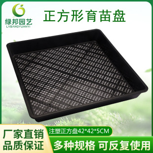 ѿ�˱P����������P��ˮ�������P��ѿ�������бP�Nֲ�� ������