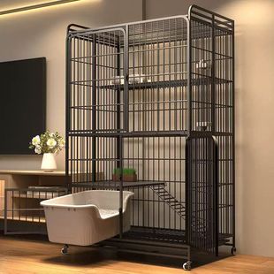 ؈�\�Ӽ����҃ȳ������ɿ��g������һ�w؈ɰ��؈�e���ۯB؈������