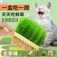 水培盒猫草套装猫草种子猫零食磨牙棒懒人盆栽化毛去毛球猫咪用品