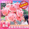 Fuchsia balloon, internet celebrity, pig, wholesale, frog